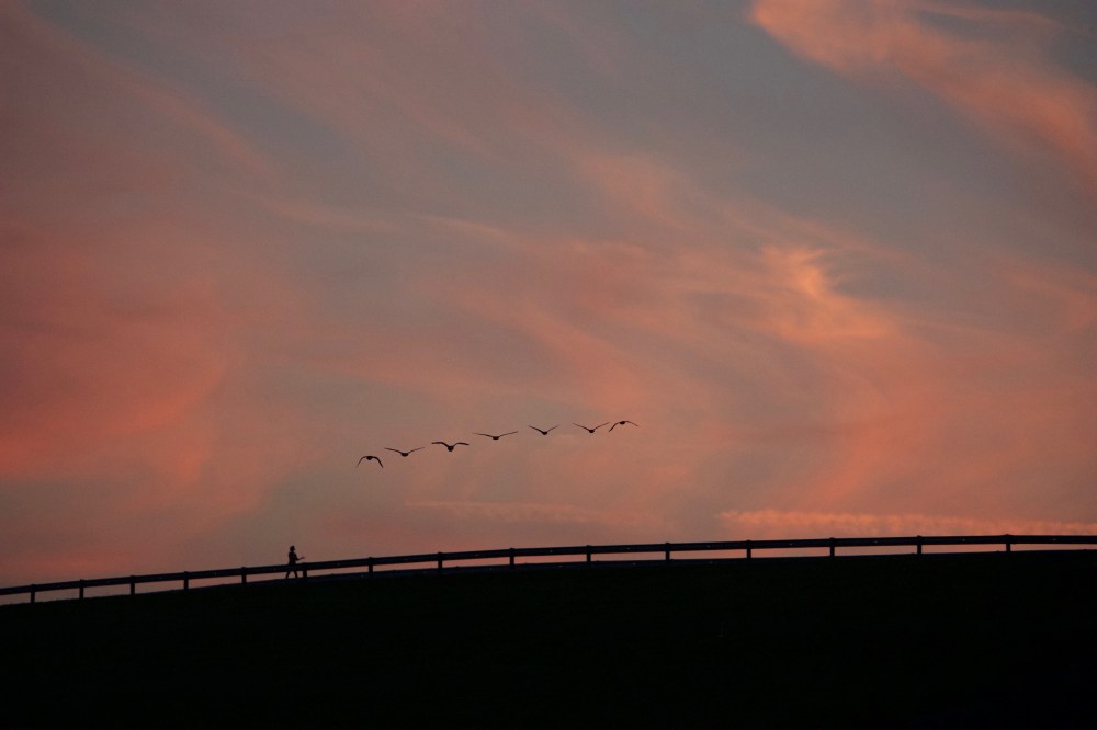 WomanOnDam-WithGeese